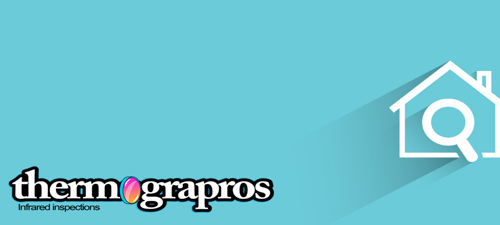 Los Angeles thermography