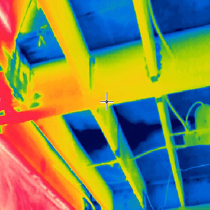 Moisture Intrusion Investigation in Los Angeles