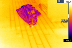 infrared thermography in Santa Clarita