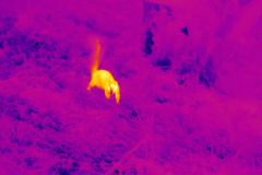 infrared thermography in Los Angeles