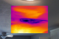 infrared thermography in Los Angeles