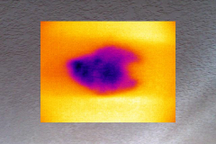 infrared thermography in Los Angeles