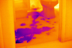 infrared thermography in Los Angeles