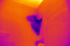 infrared thermography in Los Angeles