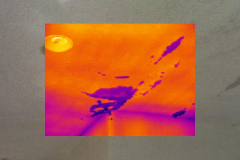 infrared thermography in Los Angeles