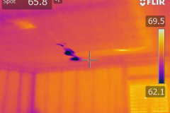 infrared thermography in Los Angeles