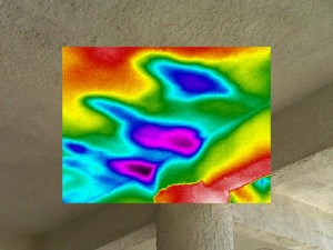 Los Angeles Infrared Water Intrusion